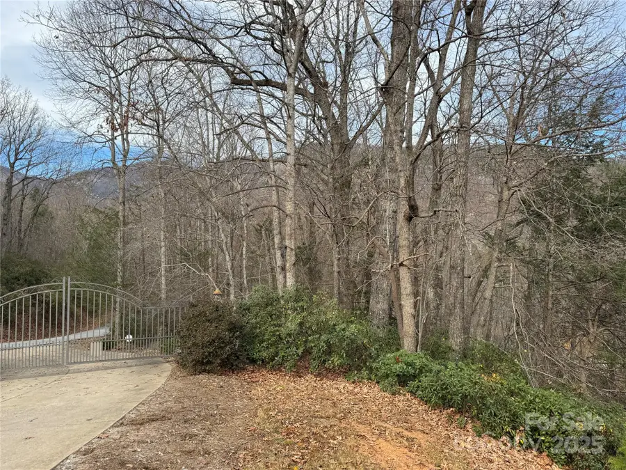 0 Deer Trail #16, Lake Lure, NC 28746 - Image #2