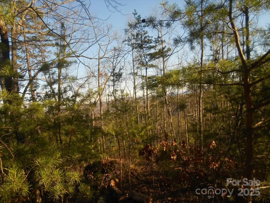 0000 Arbra Mountain Way #54, Bostic, NC 28018 - Image #3