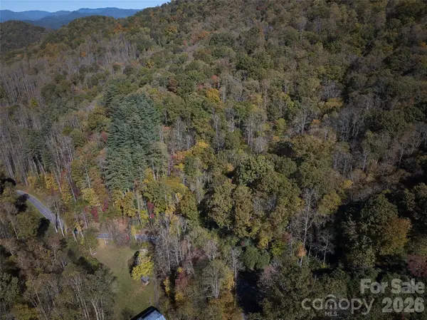 0 Treehouse Road, Whittier, NC 28789