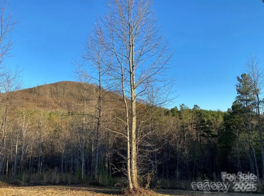 533 Pilot Ridge Road #26, Nebo, NC 28761 - Image #2