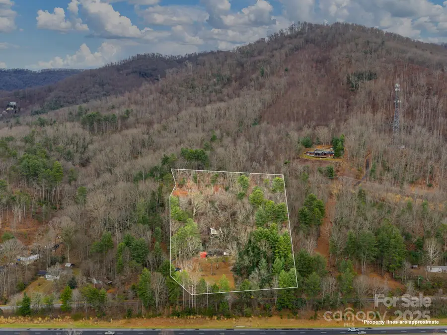 32 Saunooke Road, Asheville, NC 28805 - Image #2