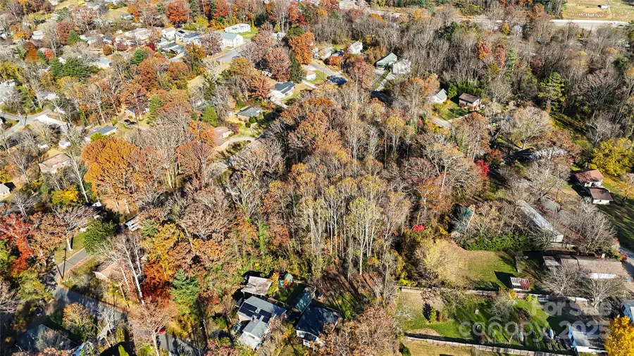 99999 Caribou Road, Asheville, NC 28803 - Image #3