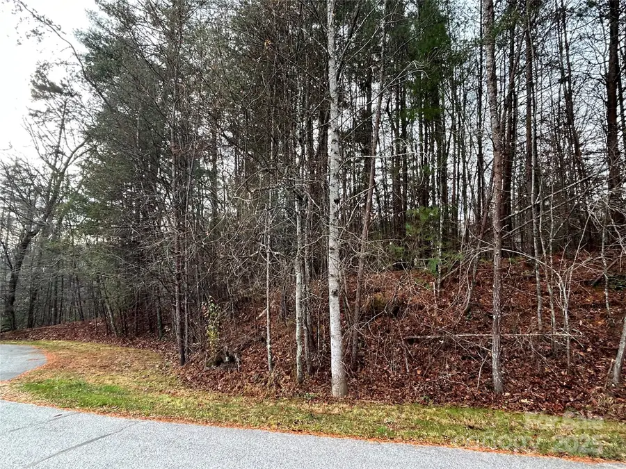 00 Cyprus Creek Lane #22, Hendersonville, NC 28791 - Image #2
