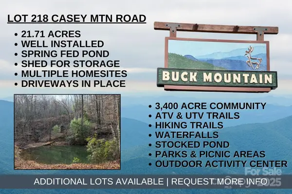 TBD Casey Mountain Road #218, Purlear, NC 28665