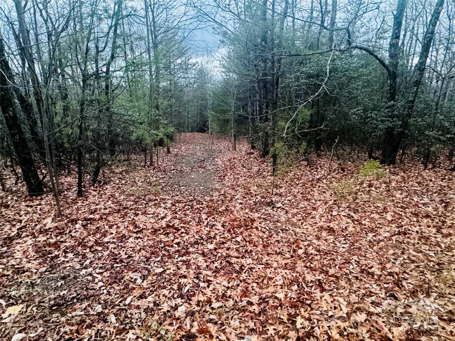 000 Raven Ridge Trail, Dobson, NC 27017 - Image #2