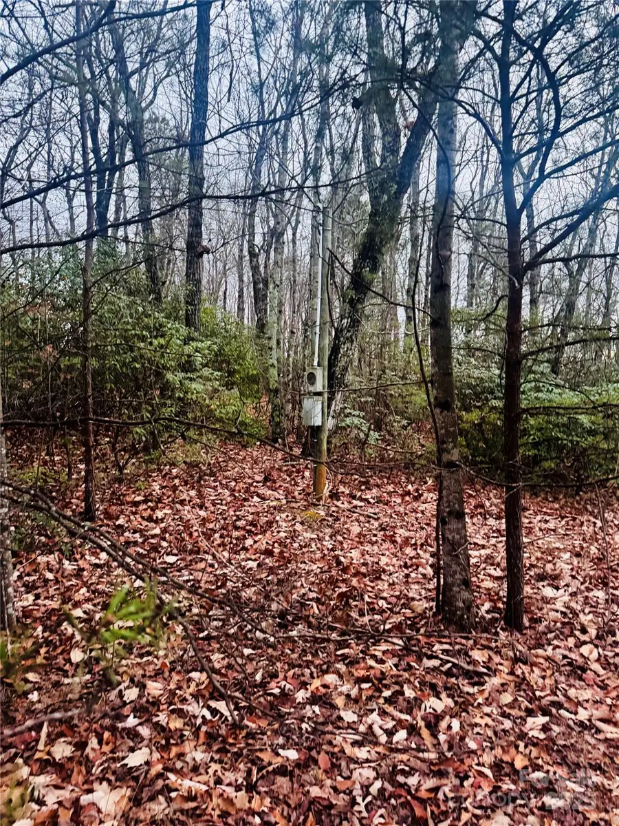 000 Raven Ridge Trail, Dobson, NC 27017 - Image #3