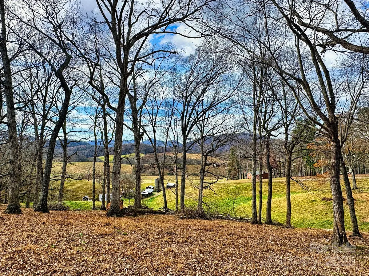 99999 Old Newfound Road, Leicester, NC 28748 - Image #1