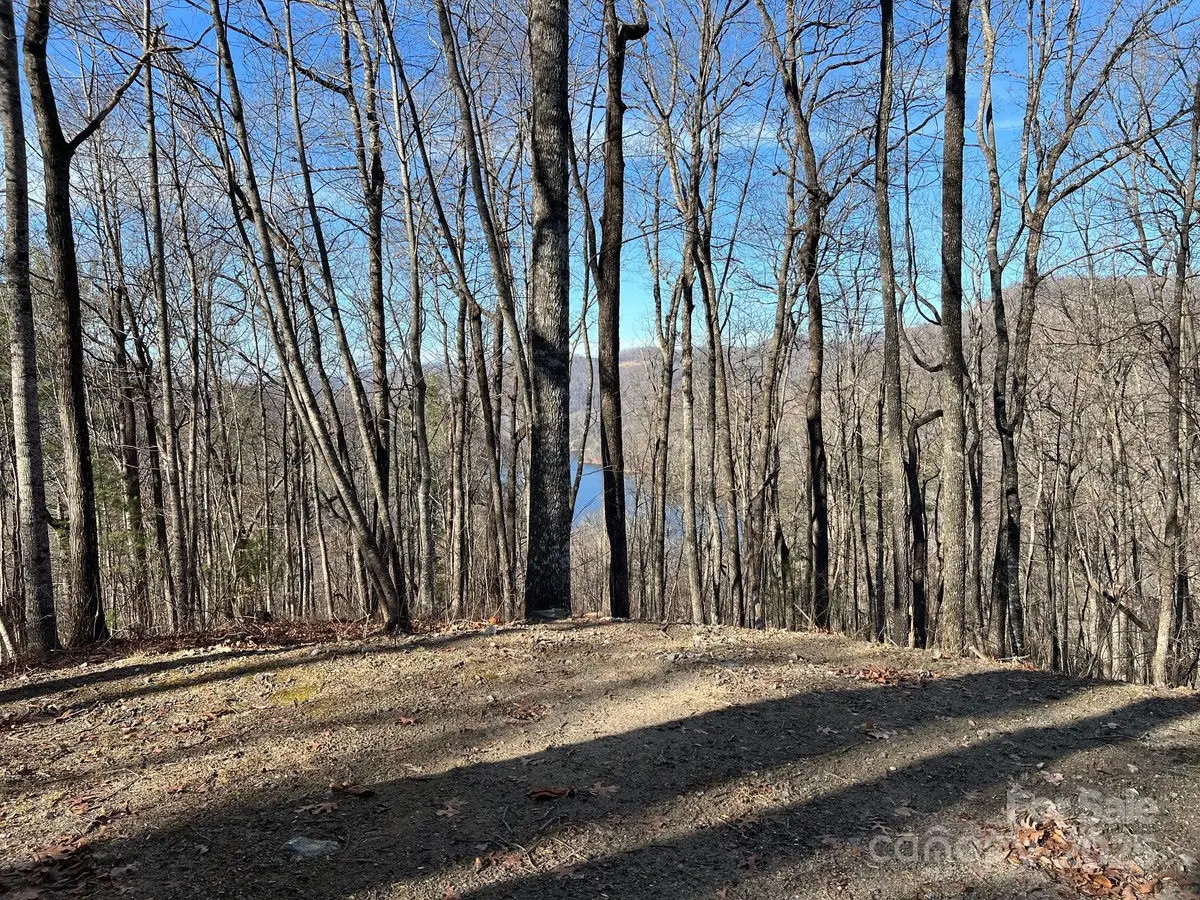 762 Scarlet Oak Road, Tuckasegee, NC 28783 - Image #1