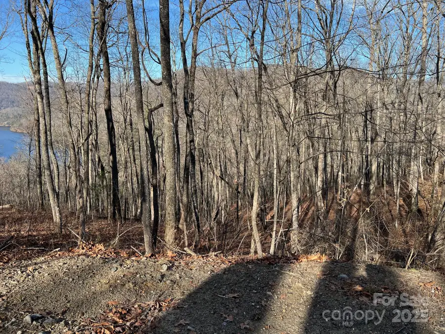 762 Scarlet Oak Road, Tuckasegee, NC 28783 - Image #3