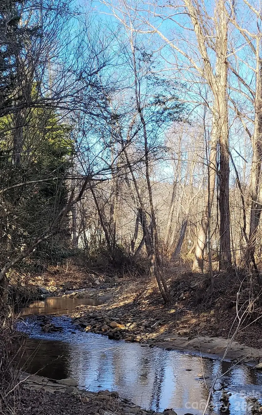 35 Cotton Creek Circle, Black Mountain, NC 28711 - #3