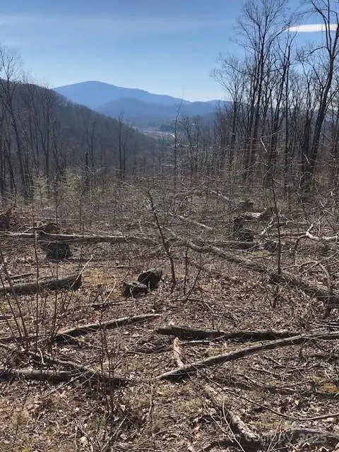 000 Butler Ridge Trail #26, Hendersonville, NC 28792 - Image #3