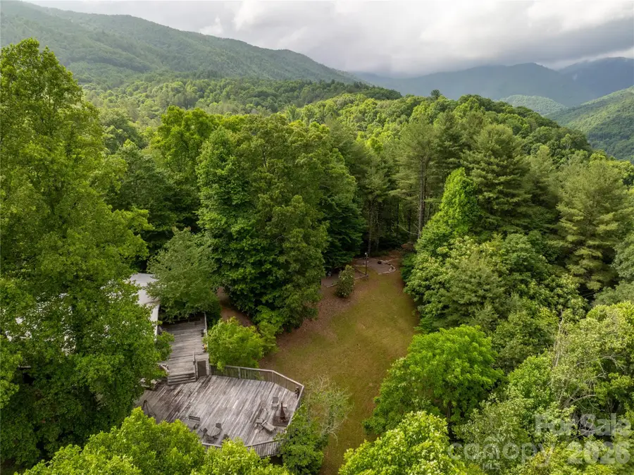 2736 White Oak Flats Road, Green Mountain, NC 28740 - Image #2