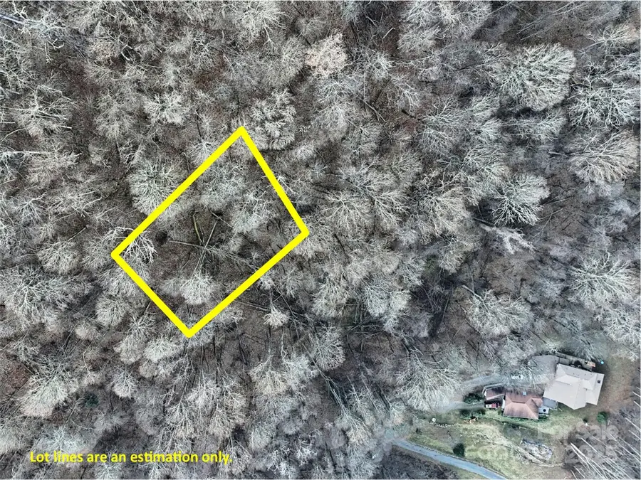 TBD Vireo Lane, Waynesville, NC 28785 - Image #3