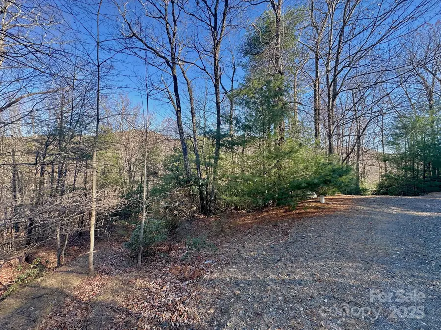 TBD Moonbeam Lane #24, 25, Deep Gap, NC 28618 - Image #2