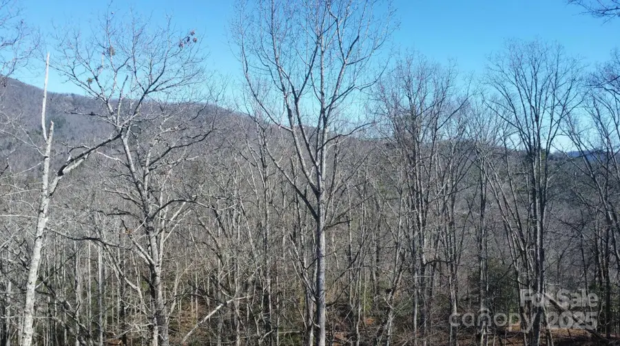 000 Hornet Drive, Whittier, NC 28789 - Image #2