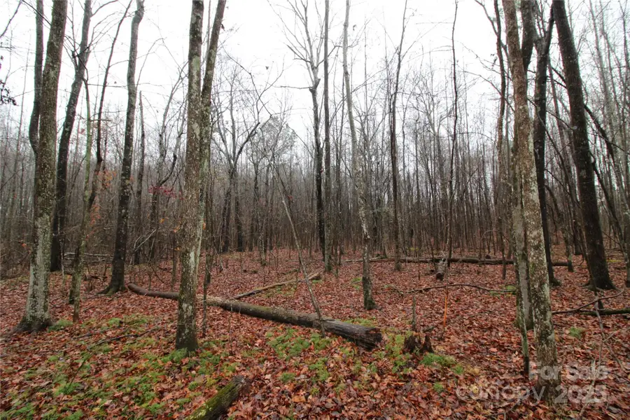 4+/-AC LOT 3 Eaker Road, Kings Mountain, NC 28086 - Image #3