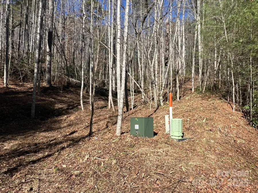 181 Falling Leaves Lane #49, Hendersonville, NC 28792 - Image #2