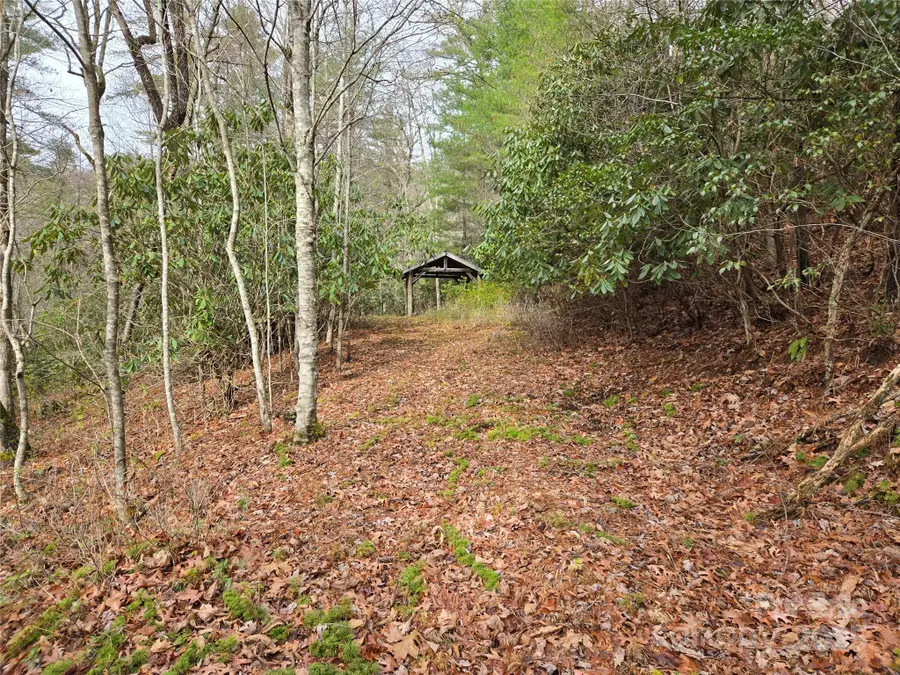 Address Withheld By Seller, Tuckasegee, NC 28783 - Image #3