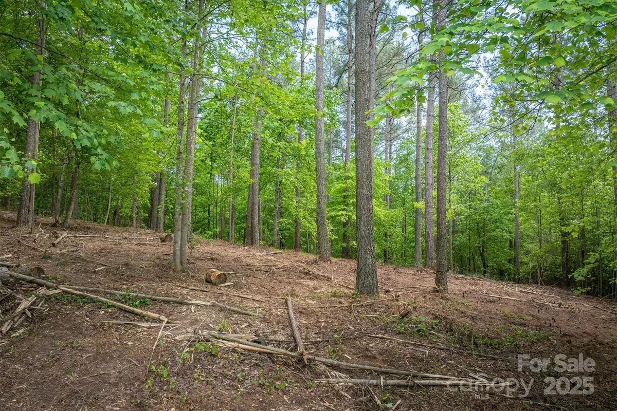 212 Harbor Ridge Drive, Connelly Springs, NC 28612 - Image #1