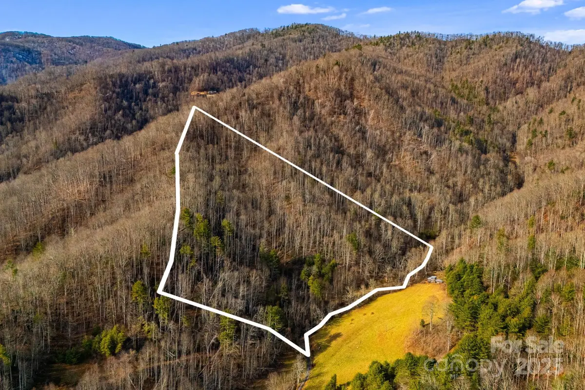 TBD Lost Hollow Road, Burnsville, NC 28714 - #1