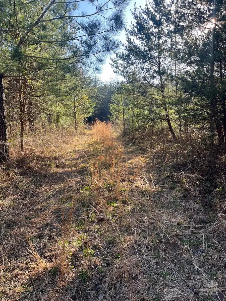 V/L Southern Way, Nebo, NC 28761 - Image #2