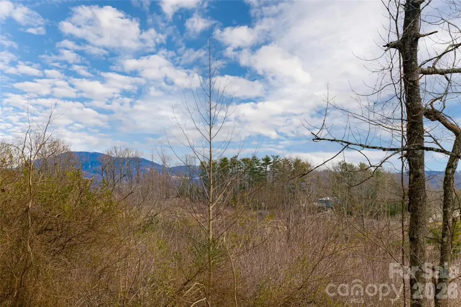 153 Hackleburg Lane, Hendersonville, NC 28792 - #3