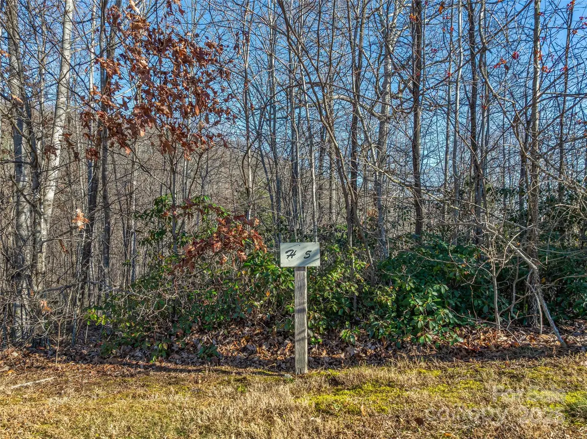 211 Ladys Fern Trail, Laurel Park, NC 28739 - Image #1