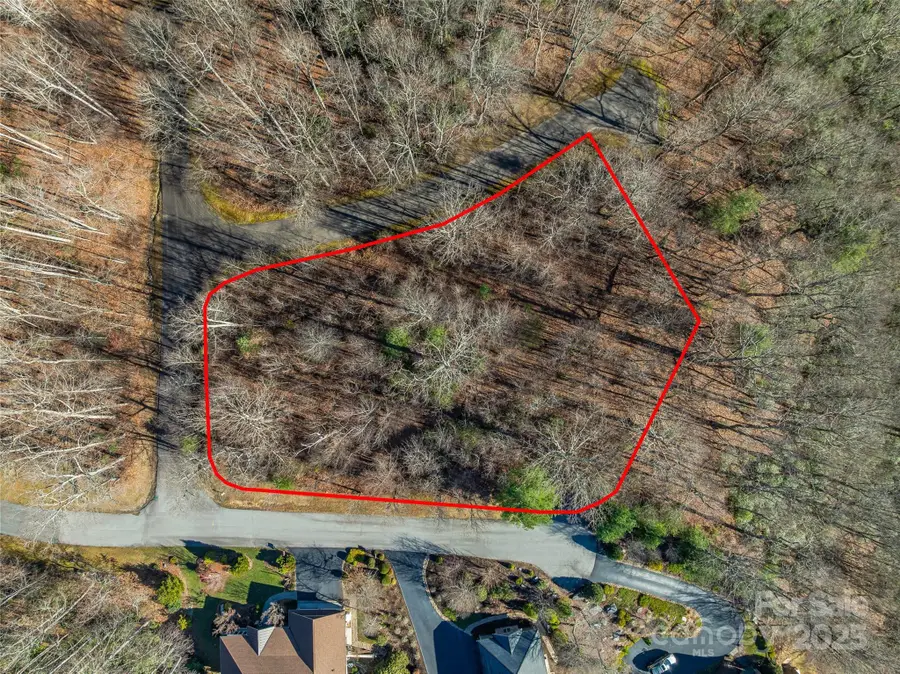 211 Ladys Fern Trail, Laurel Park, NC 28739 - Image #3