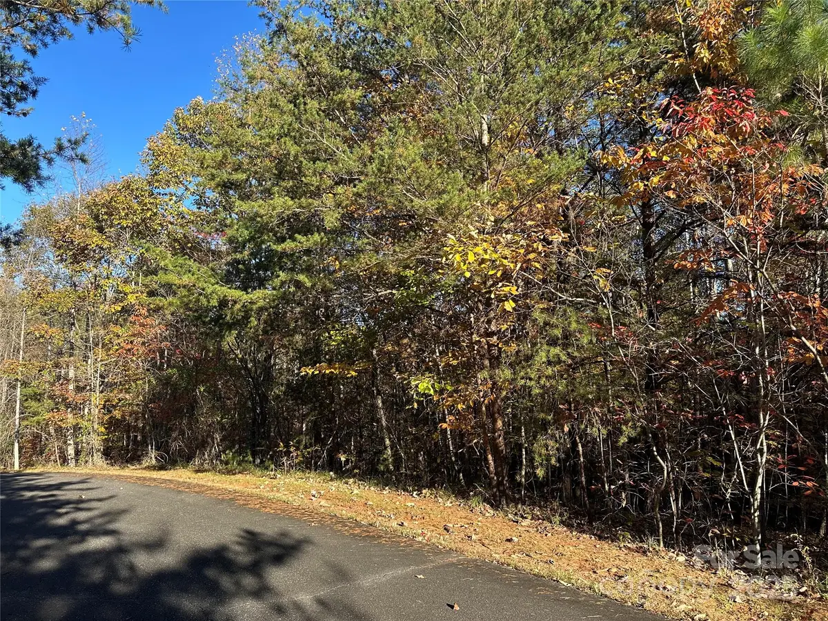 0 Rock Ledge Drive #339, Lake Lure, NC 28746 - Image #1