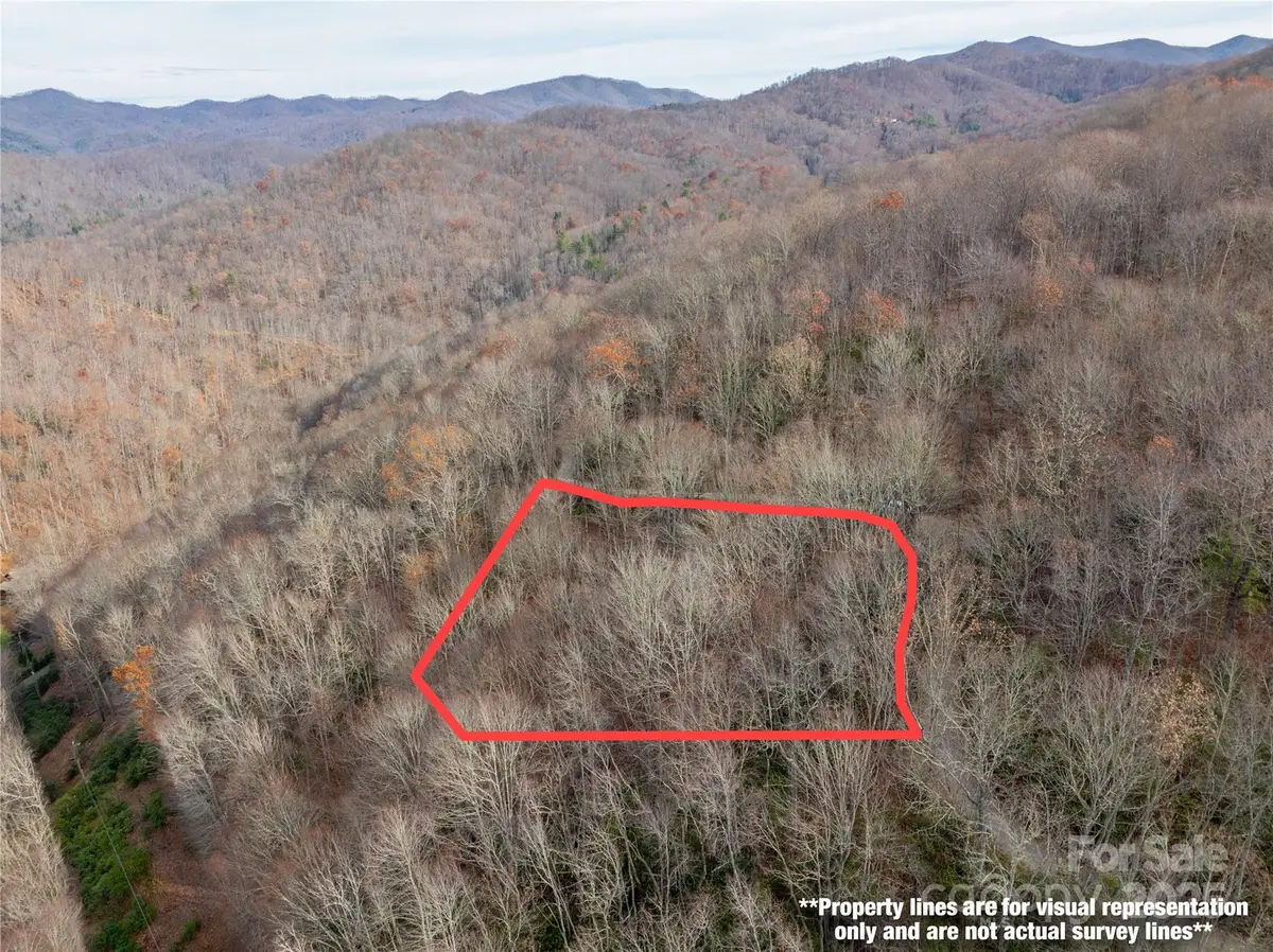 Lot 5 Mt Tabor Road, Topton, NC 28781 - Image #1