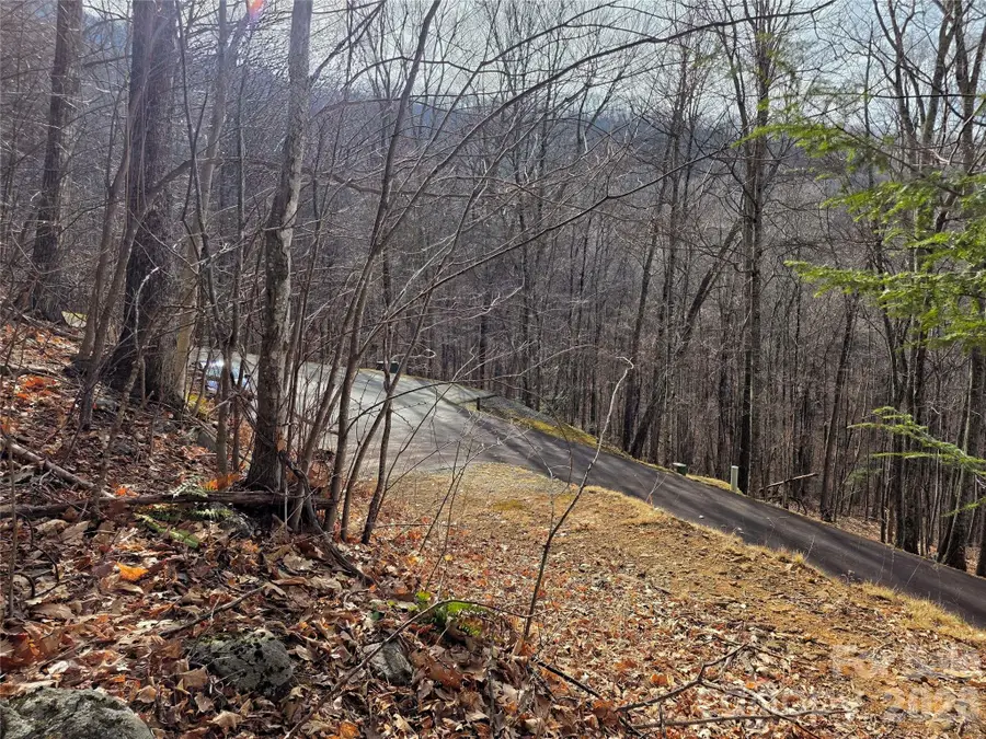 32 Finlaystone Trace, Waynesville, NC 28786 - Image #2