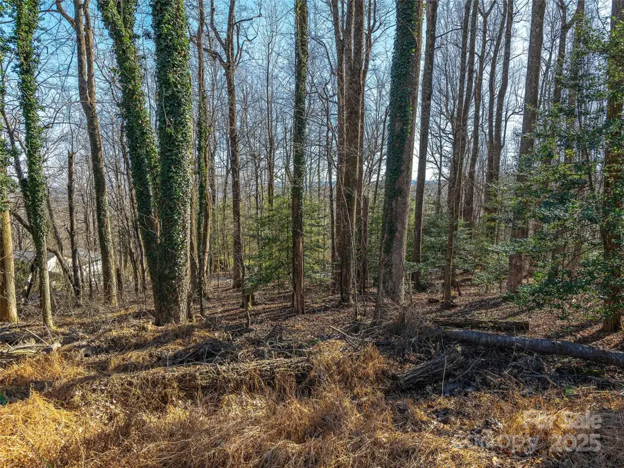 000 Indian Cave Road, Hendersonville, NC 28739 - Image #2