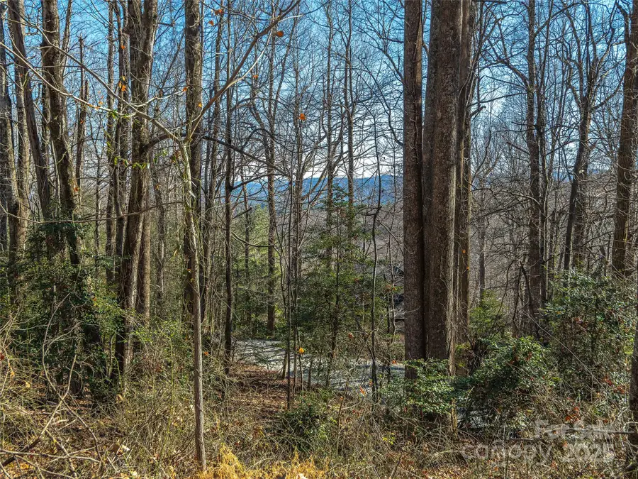 000 Indian Cave Road, Hendersonville, NC 28739 - Image #3
