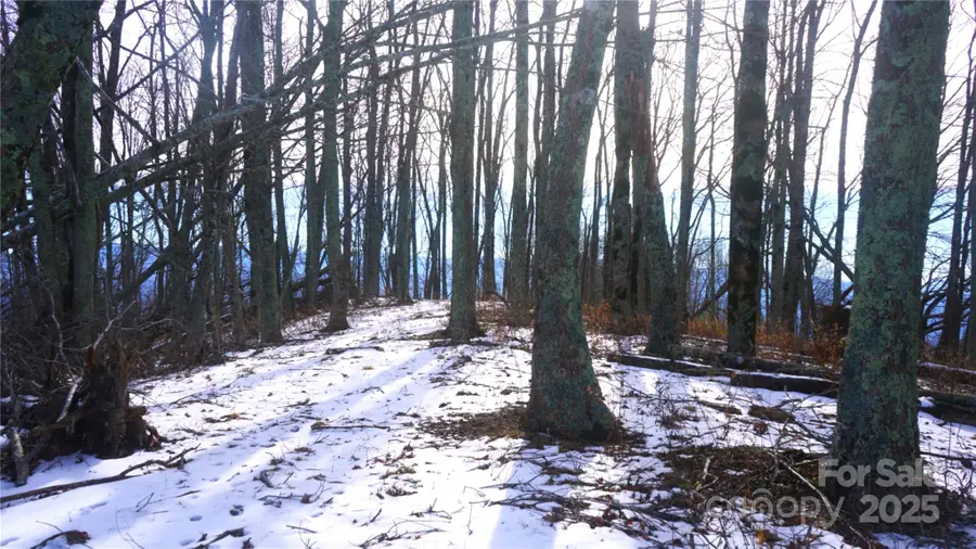 SR-1386 W Sang Branch, Hog Branch Road W, Burnsville, NC 28719 - Image #3