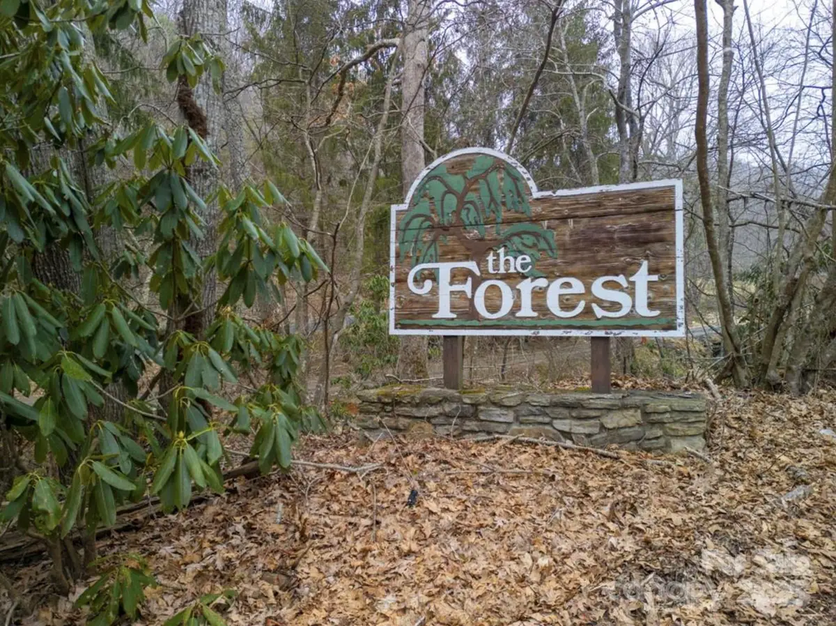 00 Seasons Drive #Lot 43, Clyde, NC 28721 - Image #1
