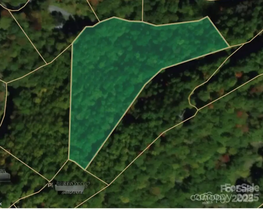00 Seasons Drive #Lot 43, Clyde, NC 28721 - Image #2