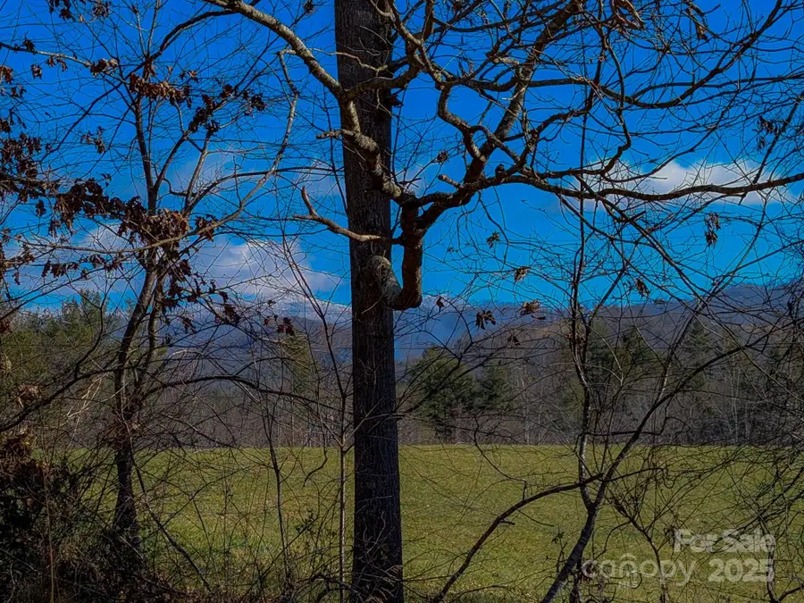 00000 Bluff Cove Road, Weaverville, NC 28787 - Image #3