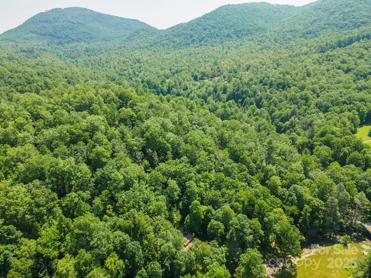 10 Roy Lane, Black Mountain, NC 28711 - Image #1