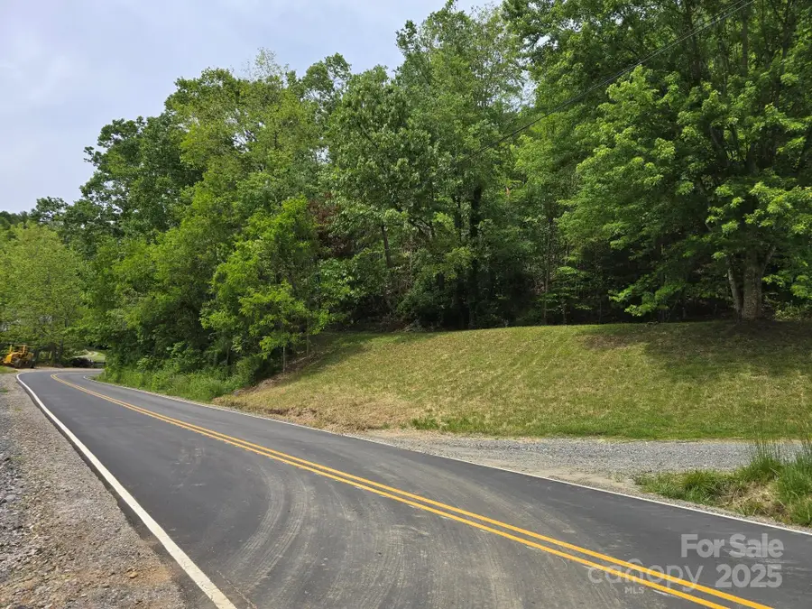 TBD Banks Creek Road, Burnsville, NC 28714 - Image #3