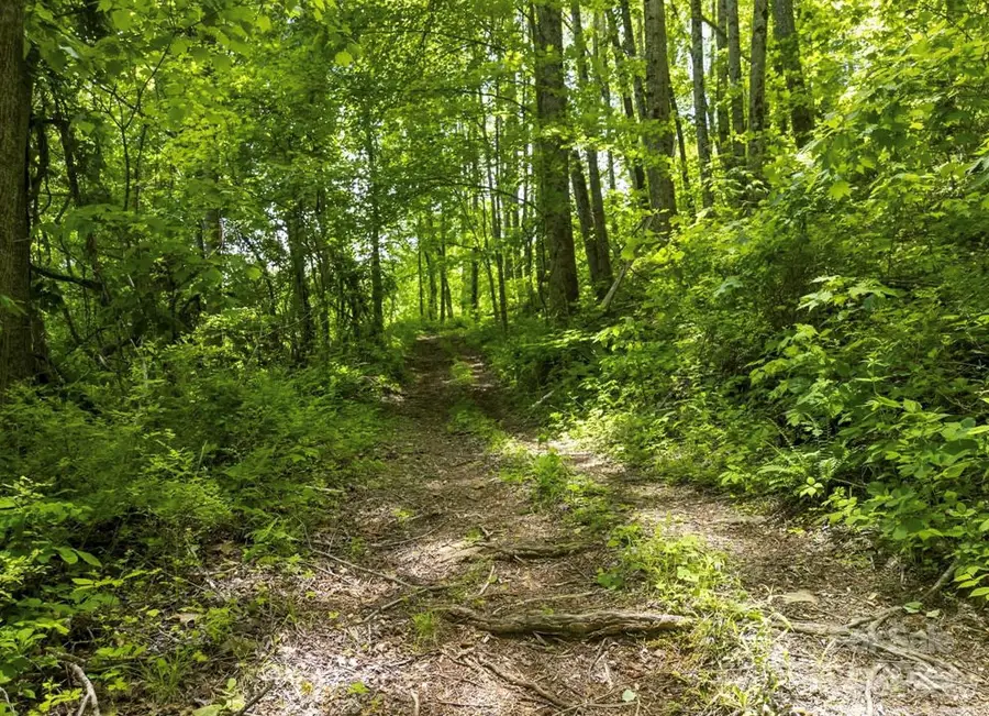 00 Cold Creek Road, Canton, NC 28716 - Image #2