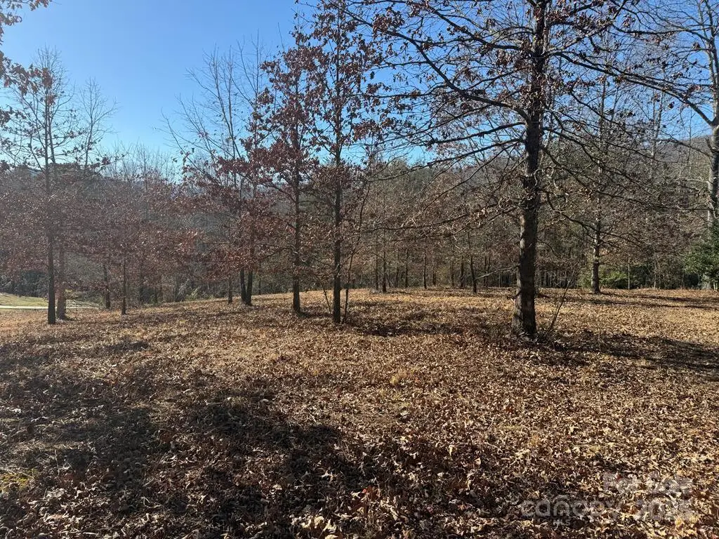 LT 15 Sunshine Acres None, Sylva, NC 28779 - Image #1