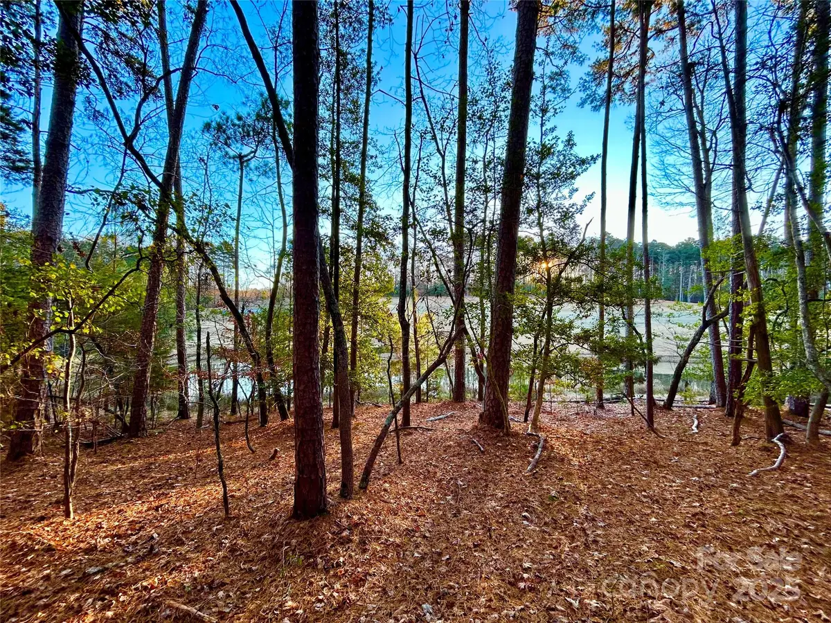 000 Shagbark Court, Mount Gilead, NC 27306 - Image #1
