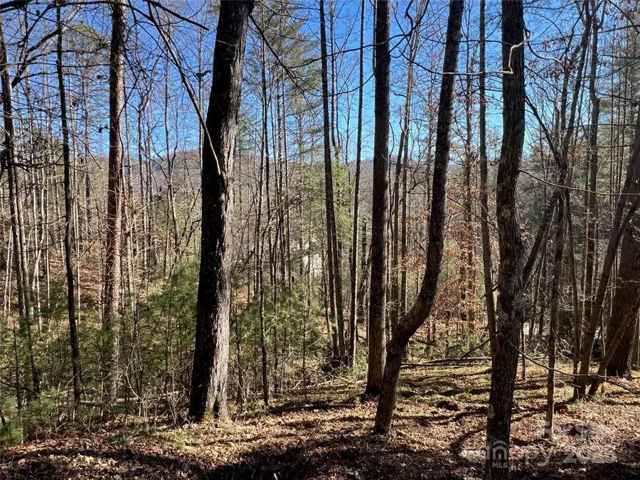 147 Falling Leaves Lane #50, Hendersonville, NC 28792 - Image #3