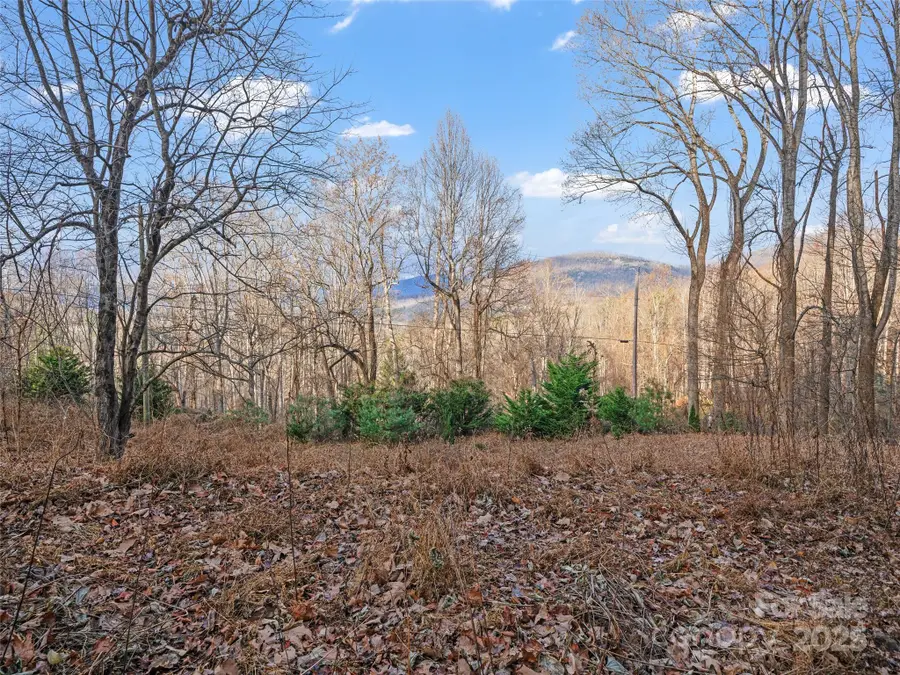99999 Flora Rose Trail, Asheville, NC 28803 - Image #2