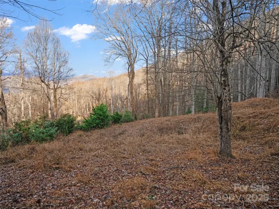 99999 Flora Rose Trail, Asheville, NC 28803 - Image #3