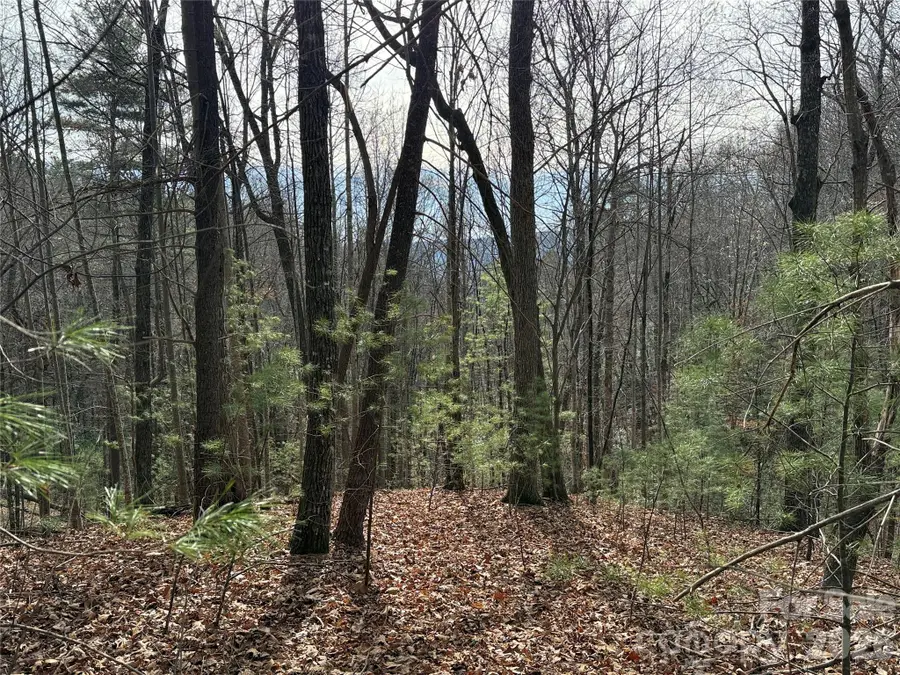 TBD Buck Mountain Road #21, Purlear, NC 28665 - Image #2