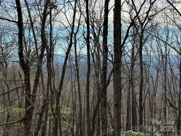 TBD Bobcat Mountain Road #36, Purlear, NC 28665