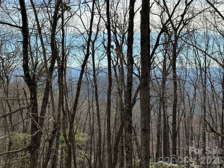 TBD Bobcat Mountain Road #36, Purlear, NC 28665 - Image #2