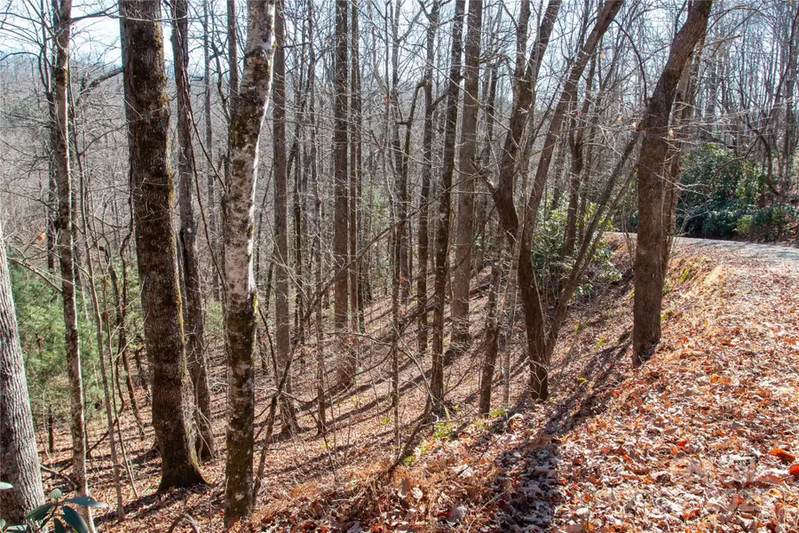 Lot 26 Big Branch Road, Brevard, NC 28712 - Image #3