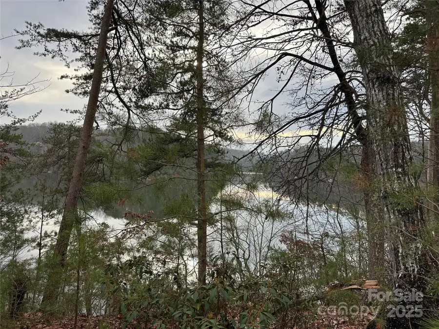 00 Jackson Cove Road W #2, Mill Spring, NC 28756 - Image #2